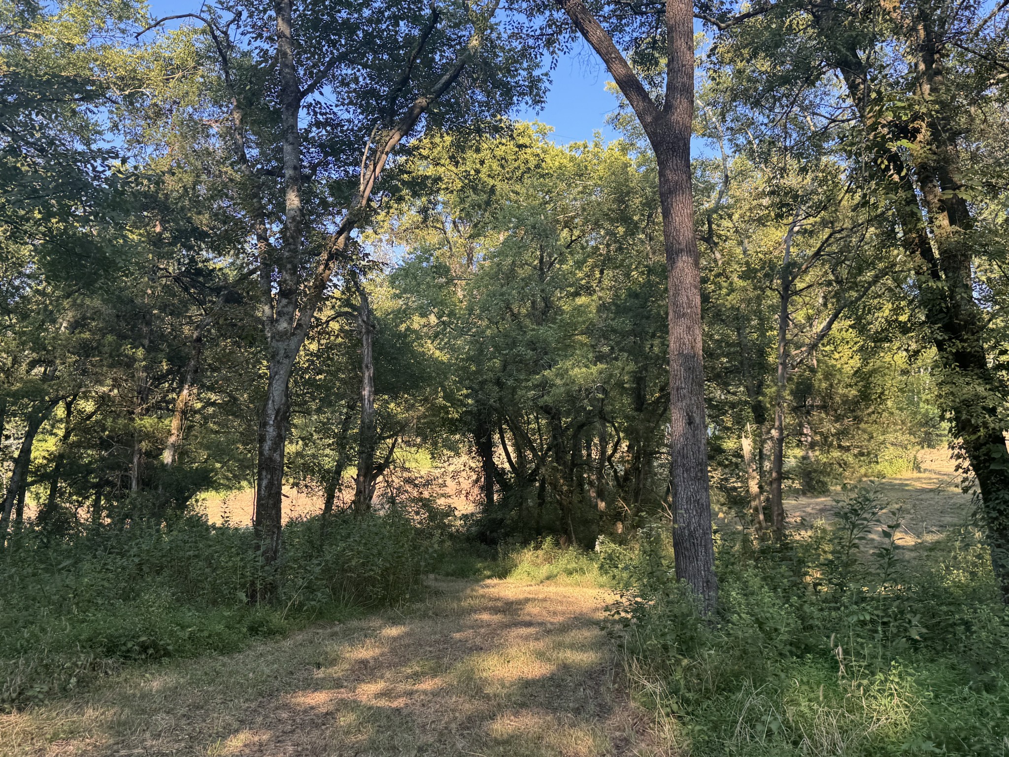 0 Lazy Branch Road Wartrace TN 37183