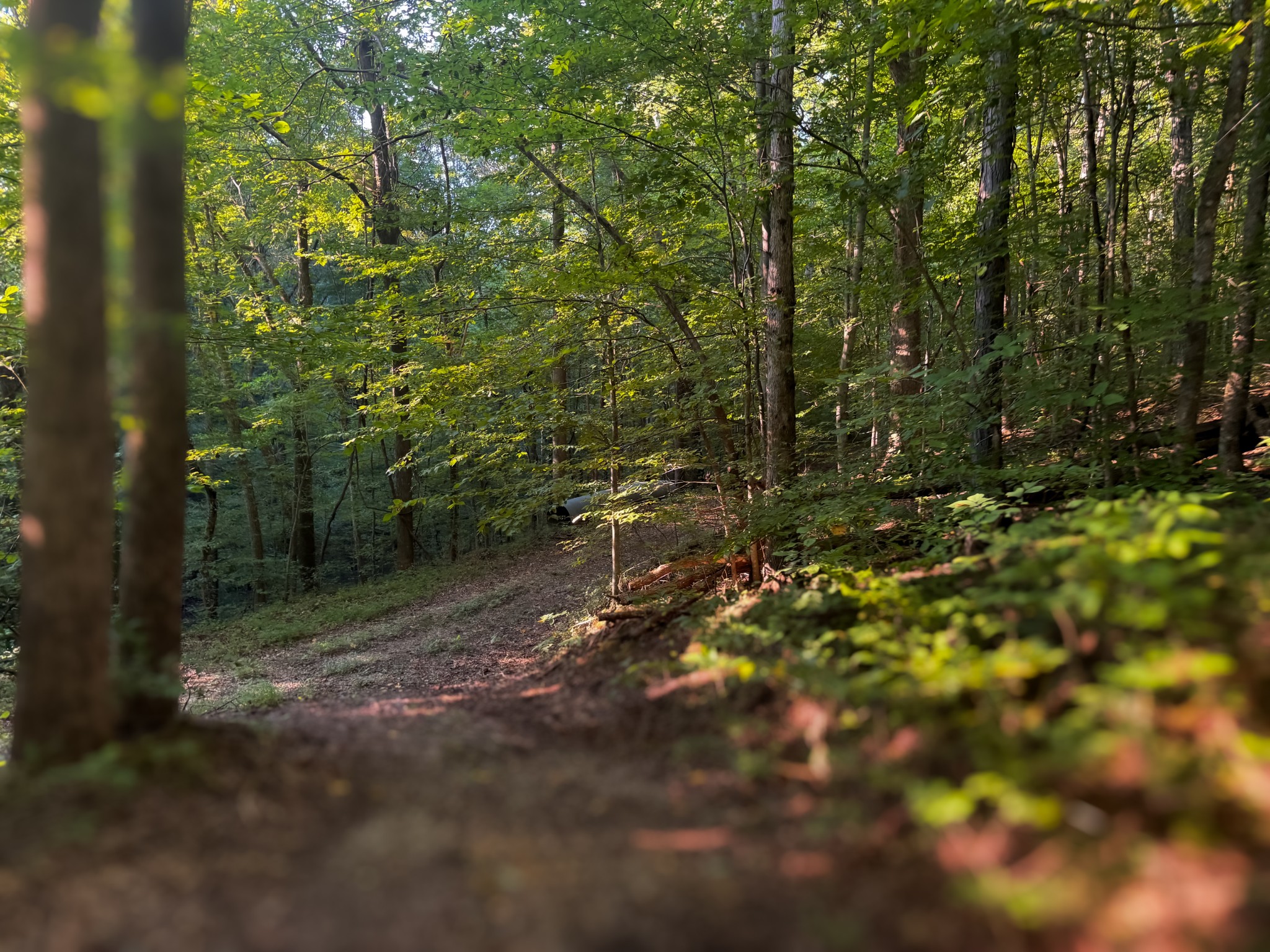 0 Lazy Branch Road Wartrace TN 37183