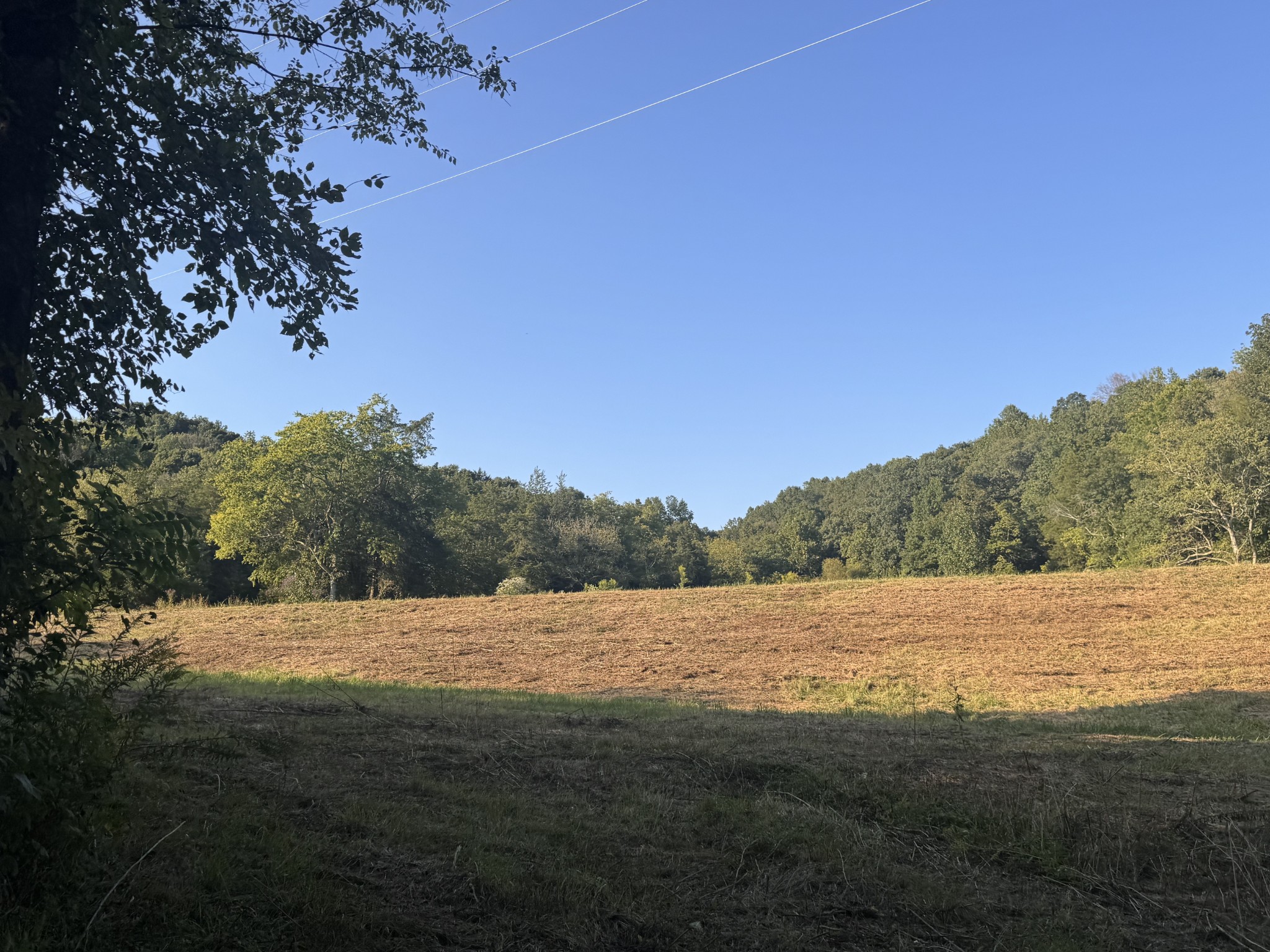 0 Lazy Branch Road Wartrace TN 37183