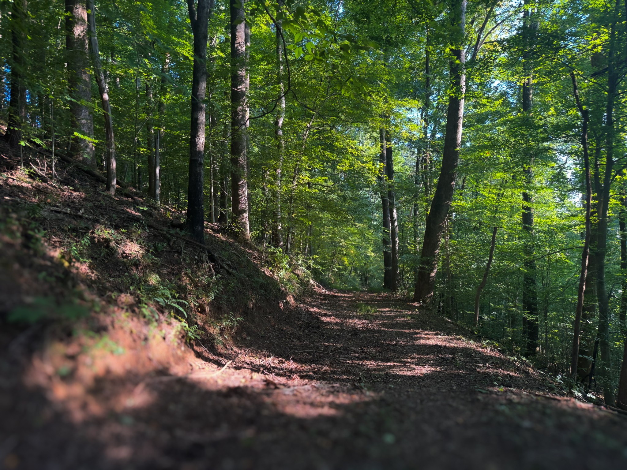 0 Lazy Branch Road Wartrace TN 37183