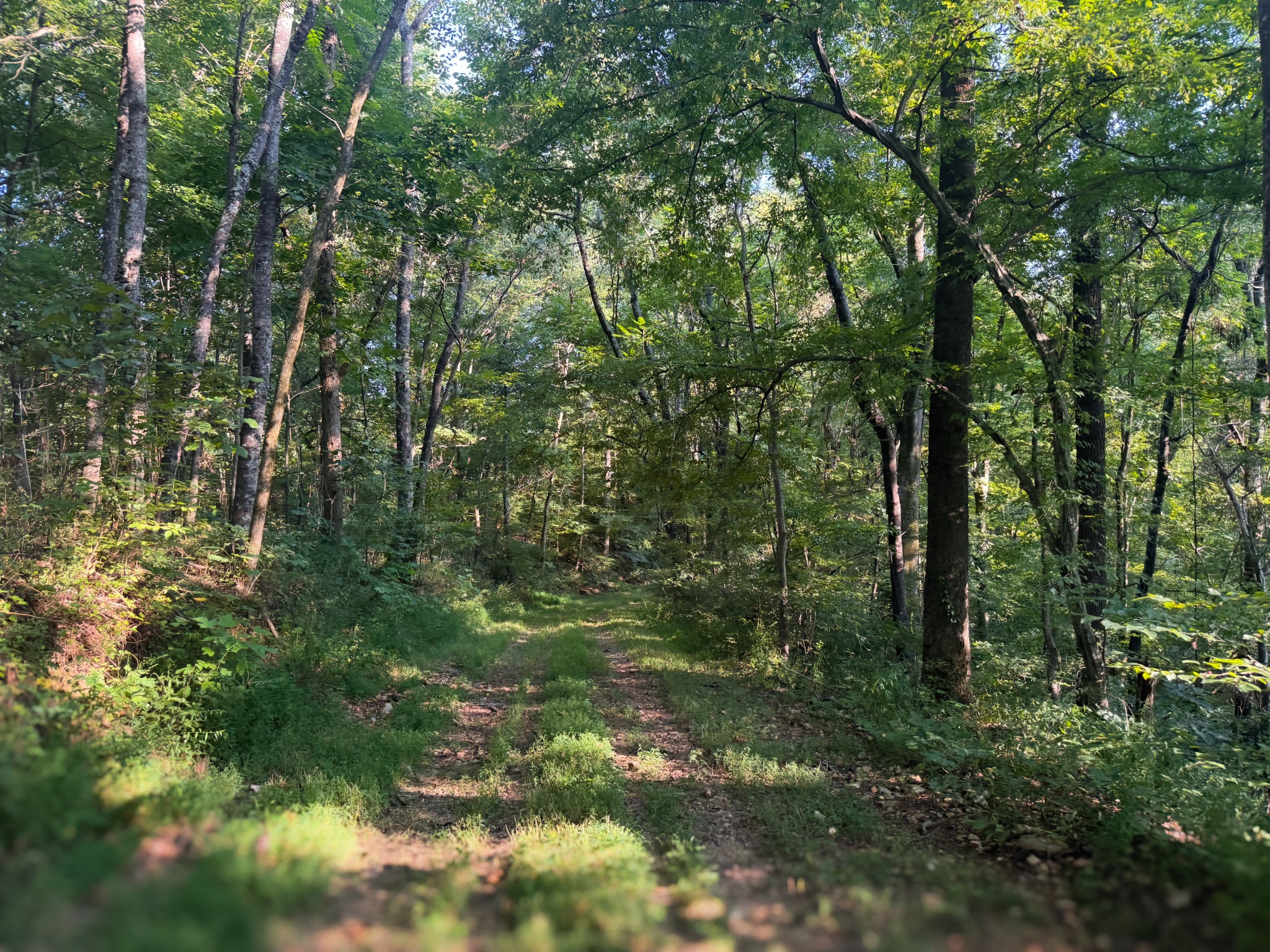 0 Lazy Branch Road Wartrace TN 37183
