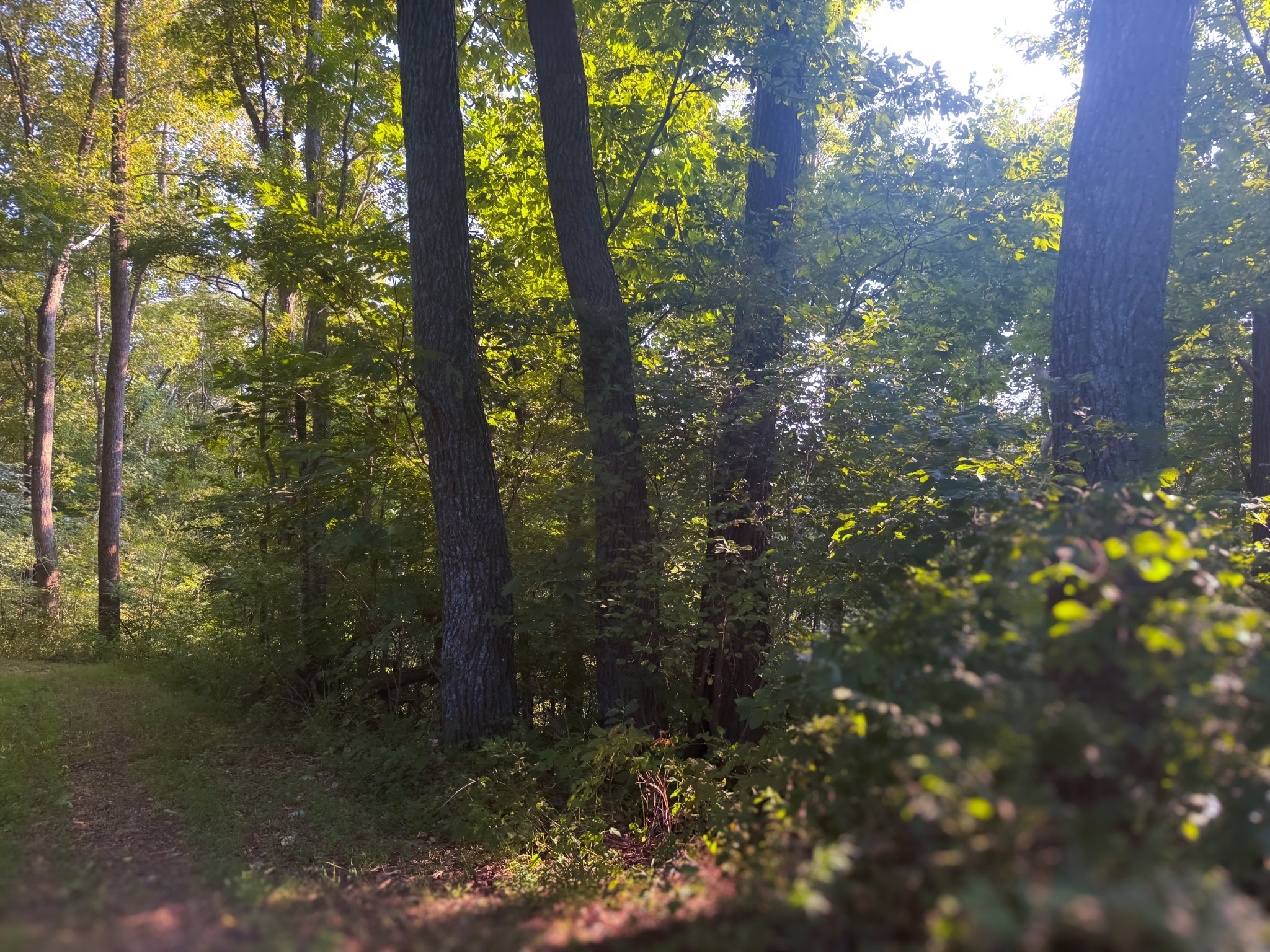 0 Lazy Branch Road Wartrace TN 37183