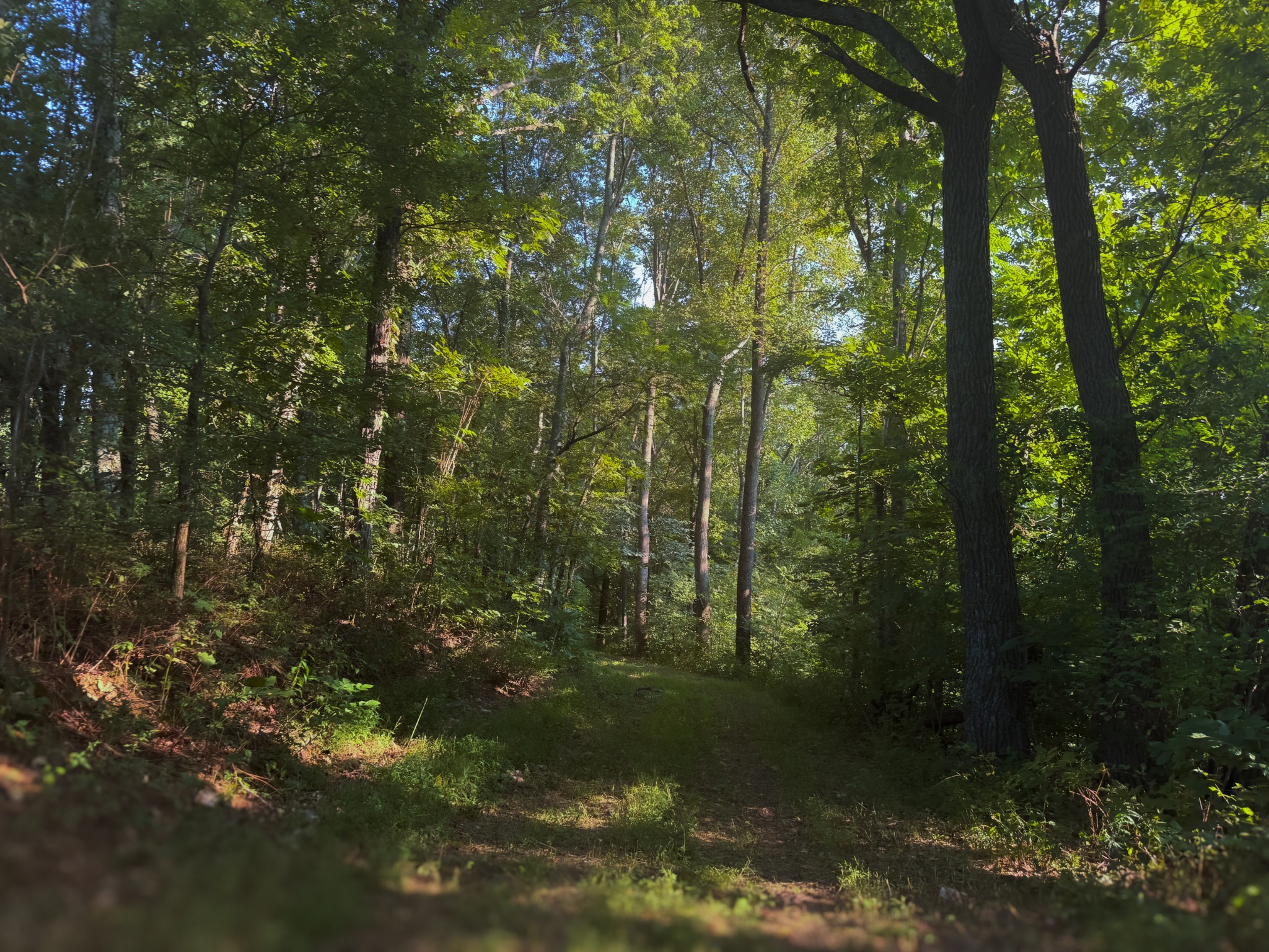 0 Lazy Branch Road Wartrace TN 37183