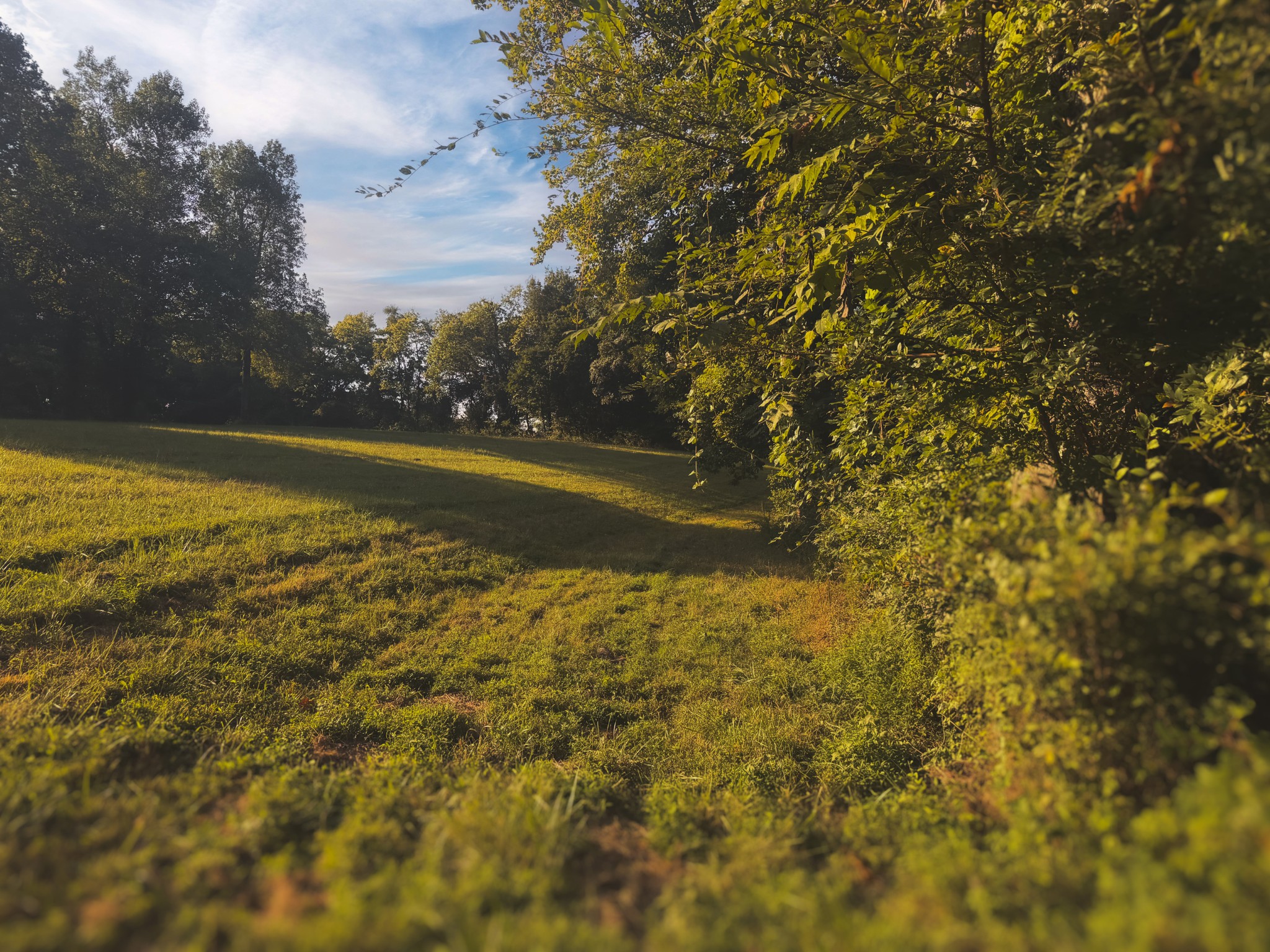 0 Lazy Branch Road Wartrace TN 37183
