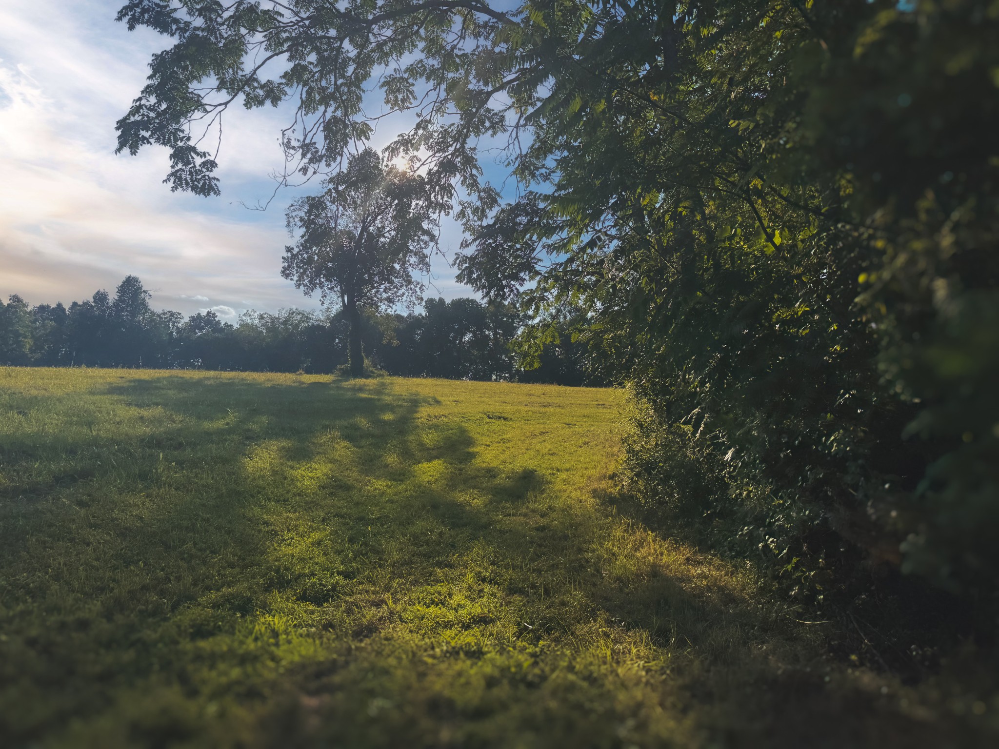 0 Lazy Branch Road Wartrace TN 37183