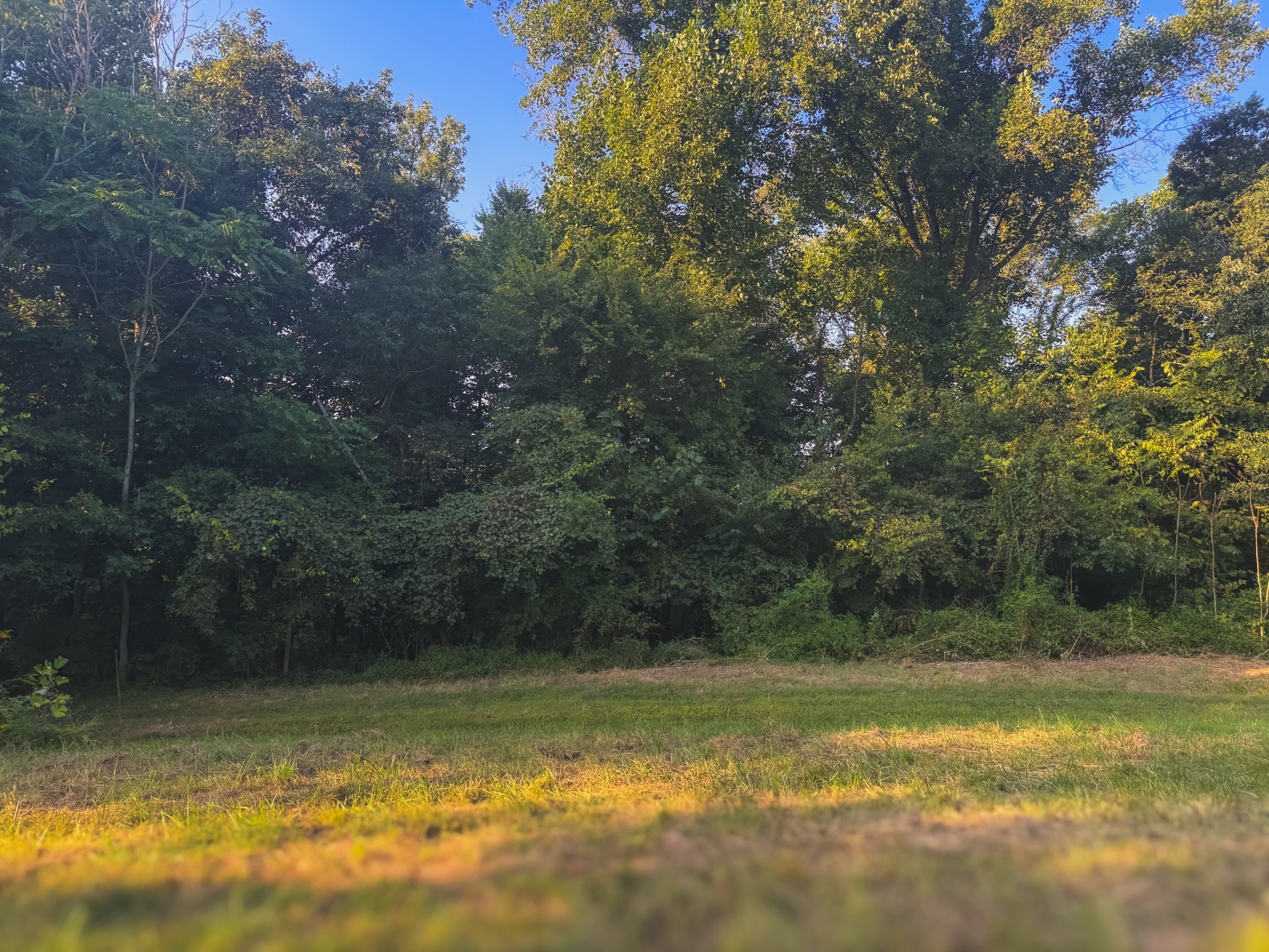 0 Lazy Branch Road Wartrace TN 37183
