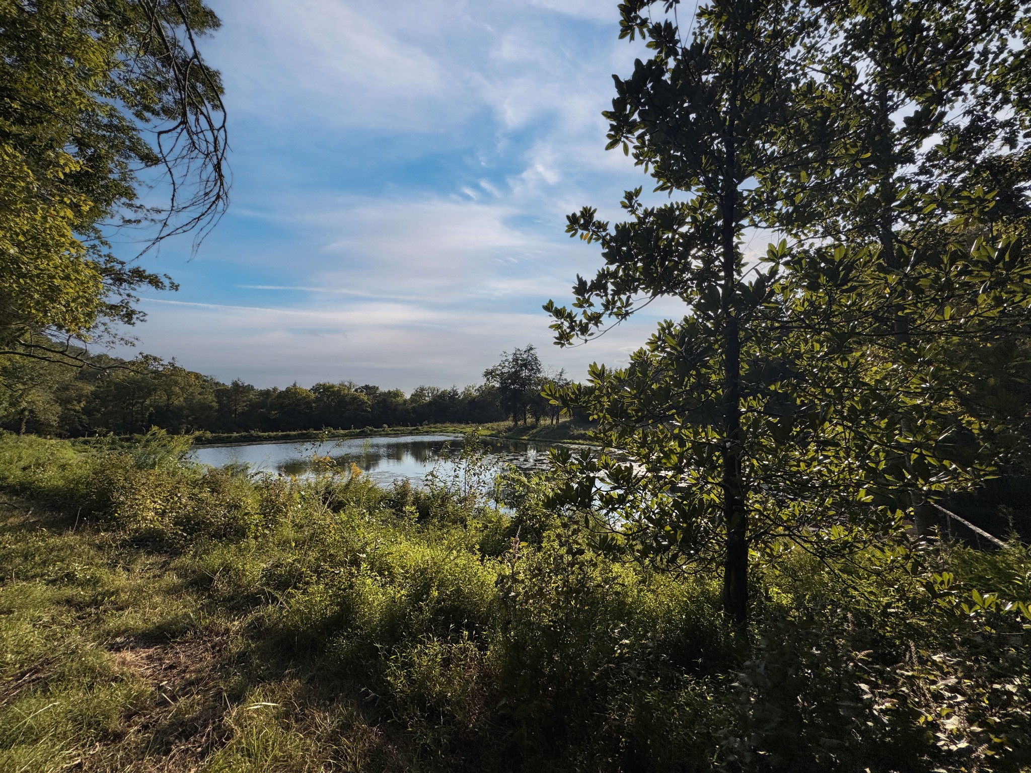 0 Lazy Branch Road Wartrace TN 37183