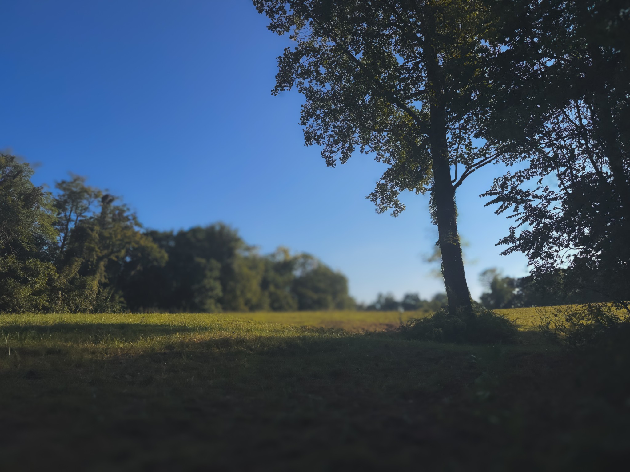 0 Lazy Branch Road Wartrace TN 37183