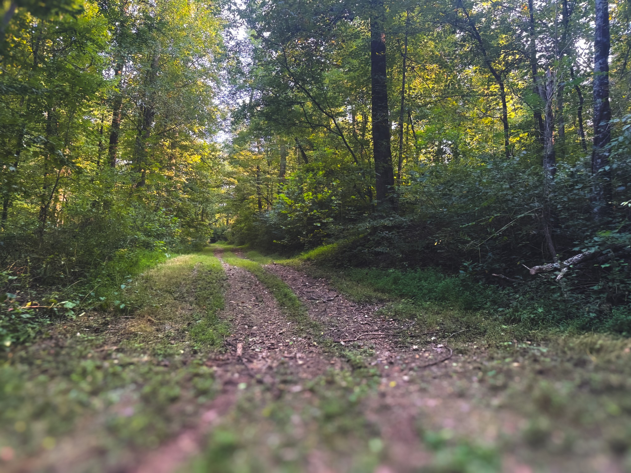 0 Lazy Branch Road Wartrace TN 37183