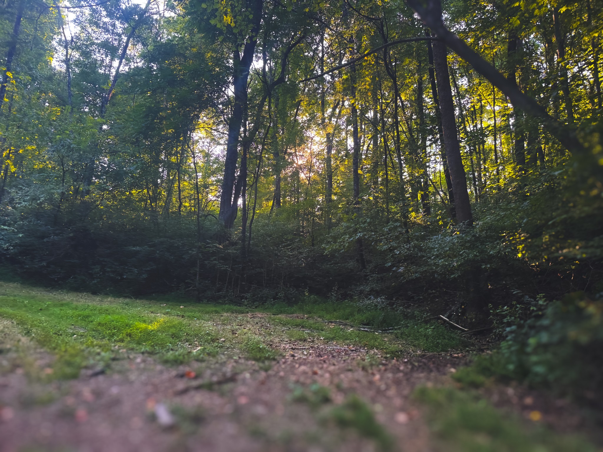 0 Lazy Branch Road Wartrace TN 37183