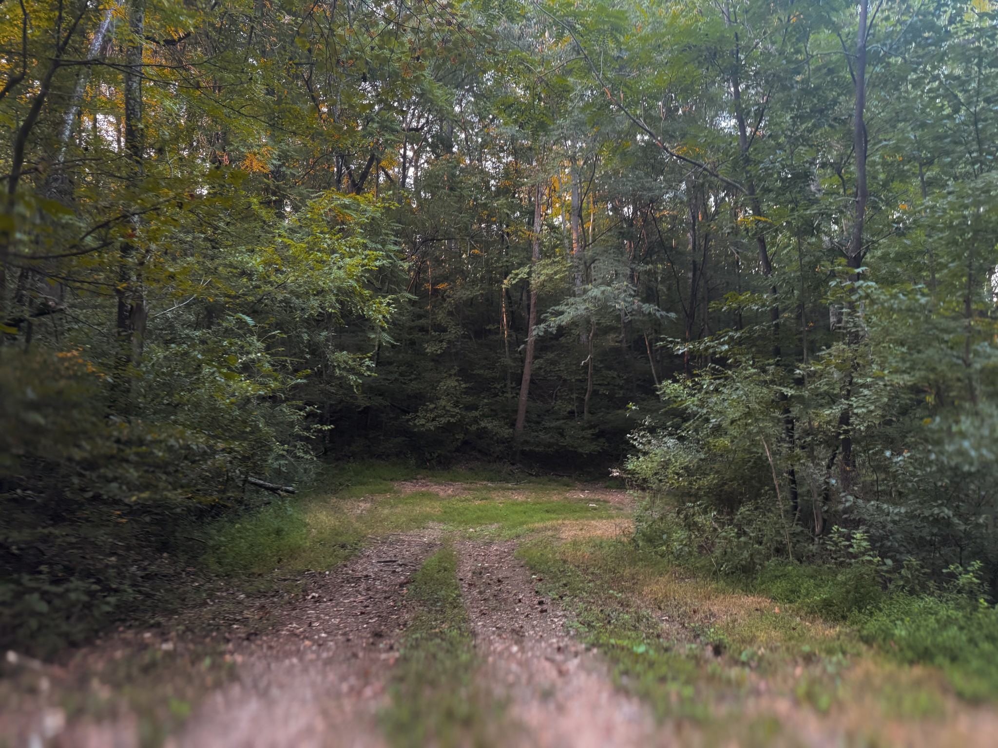 0 Lazy Branch Road Wartrace TN 37183