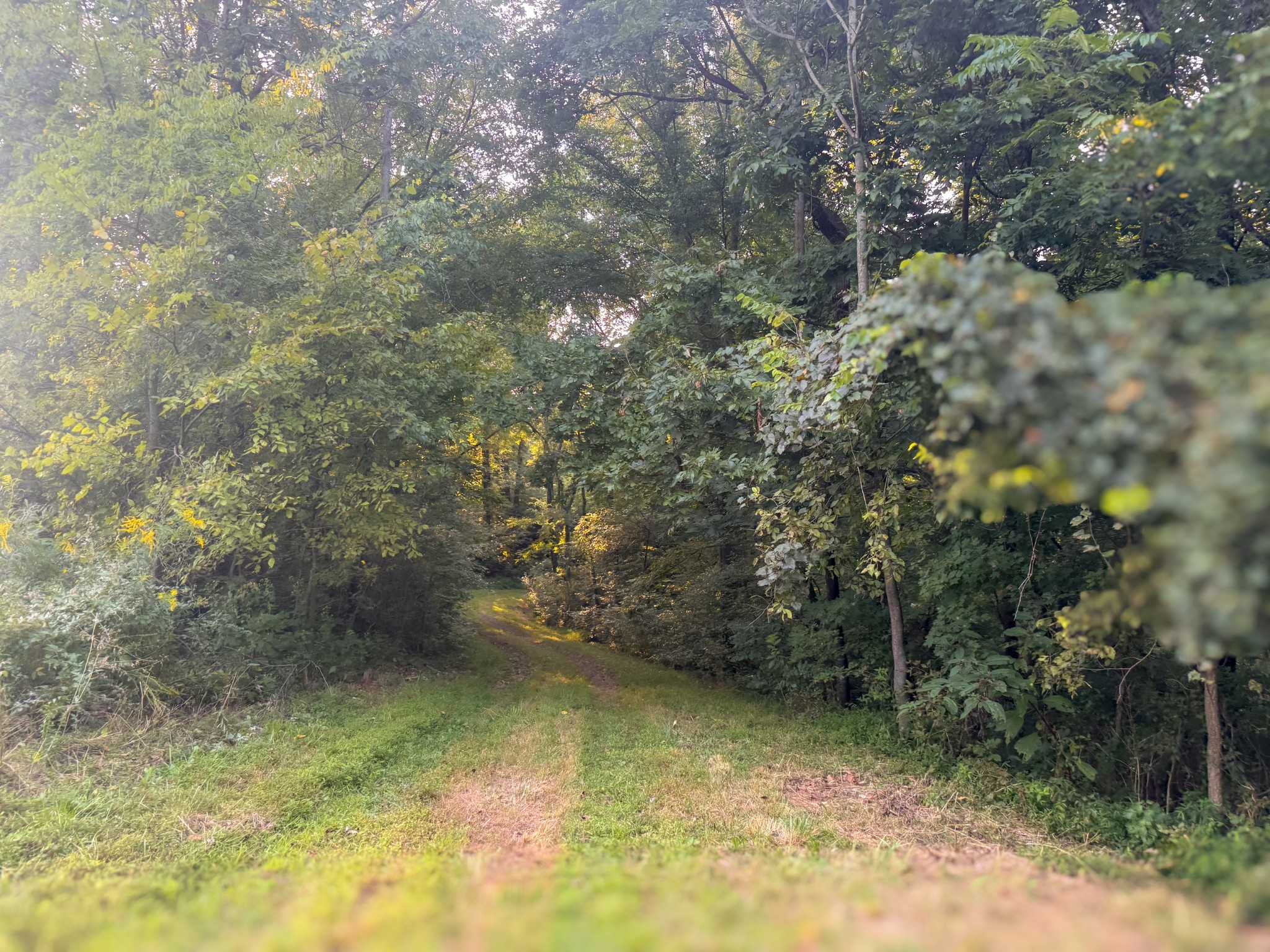 0 Lazy Branch Road Wartrace TN 37183