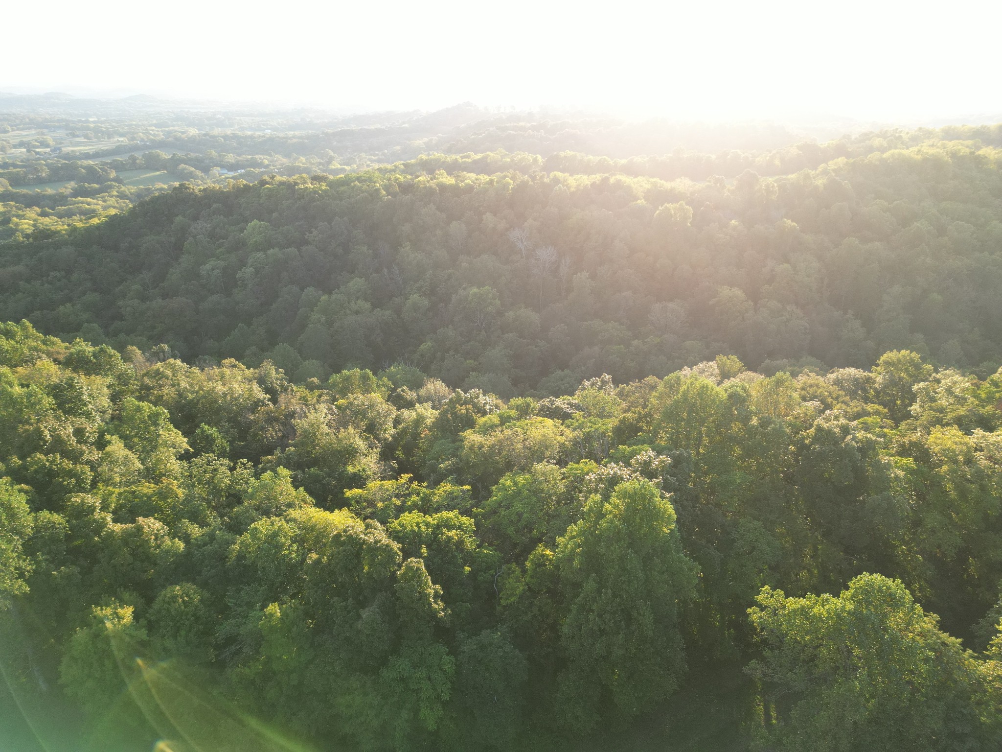 0 Lazy Branch Road Wartrace TN 37183