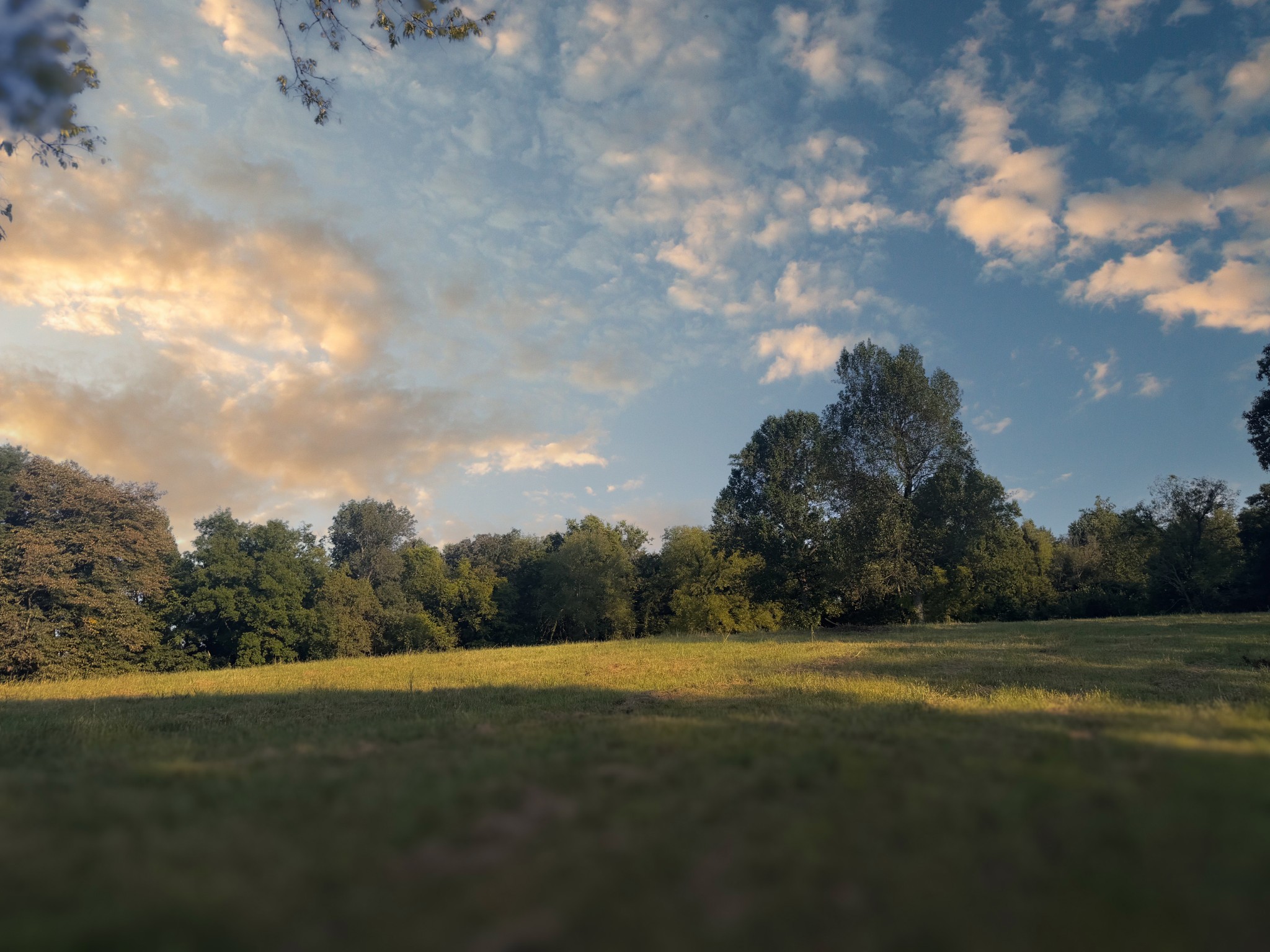 0 Lazy Branch Road Wartrace TN 37183
