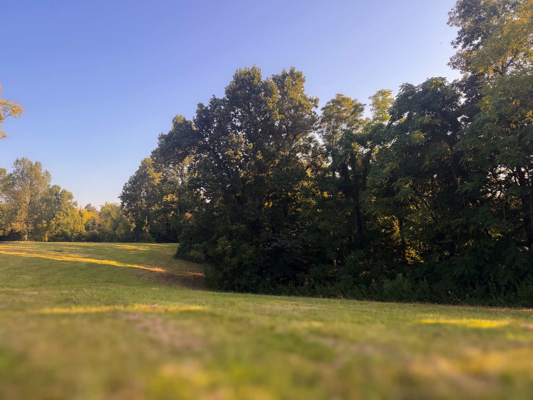 0 Lazy Branch Road Wartrace TN 37183