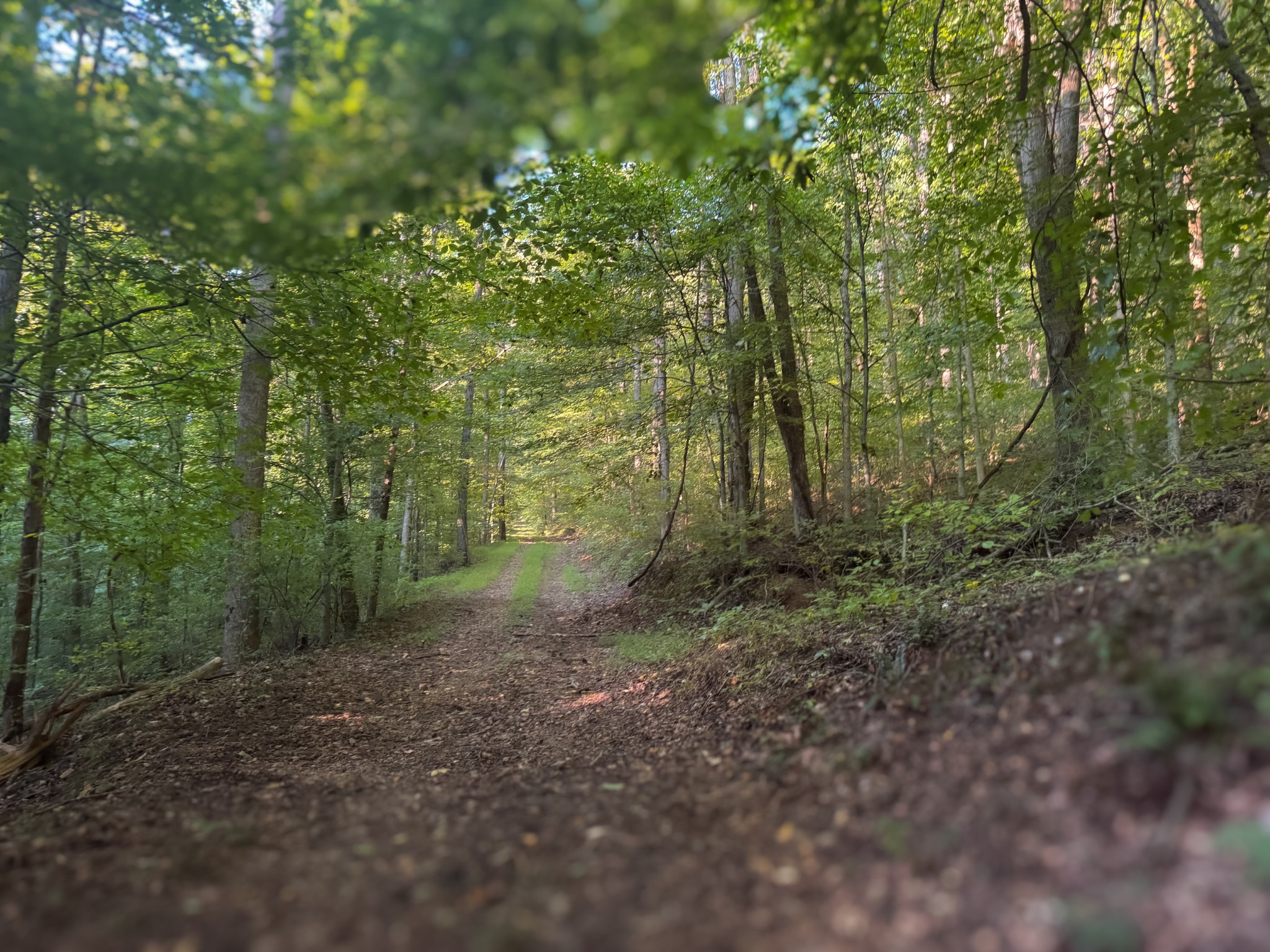 0 Lazy Branch Road Wartrace TN 37183