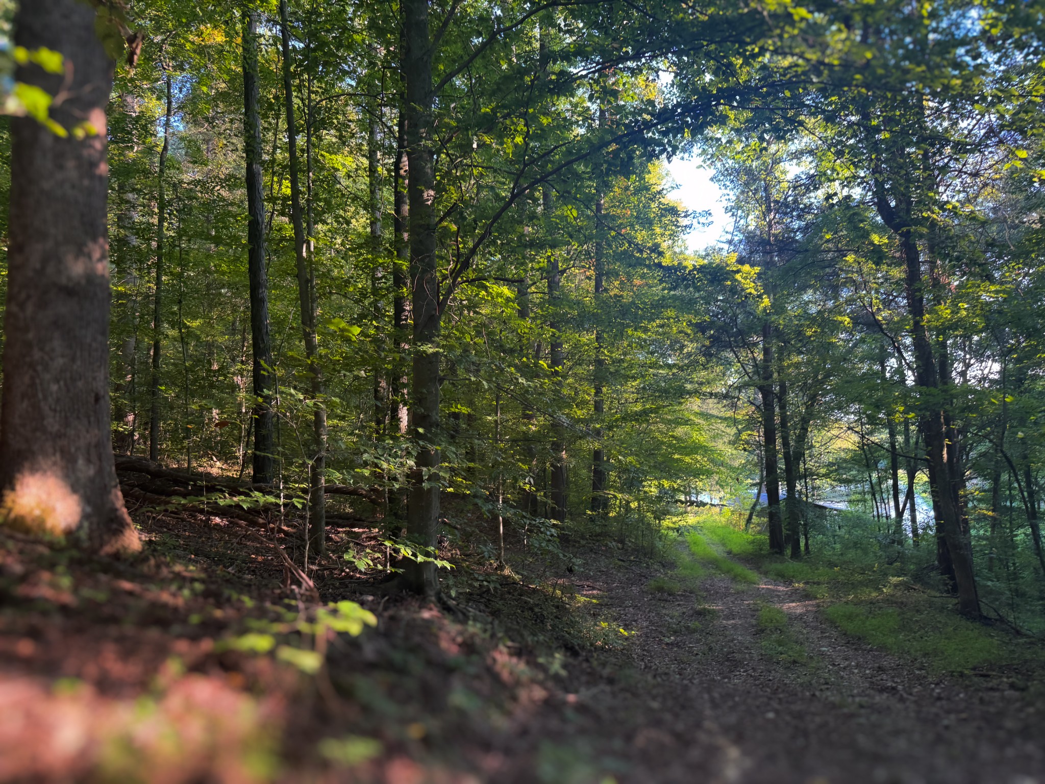 0 Lazy Branch Road Wartrace TN 37183
