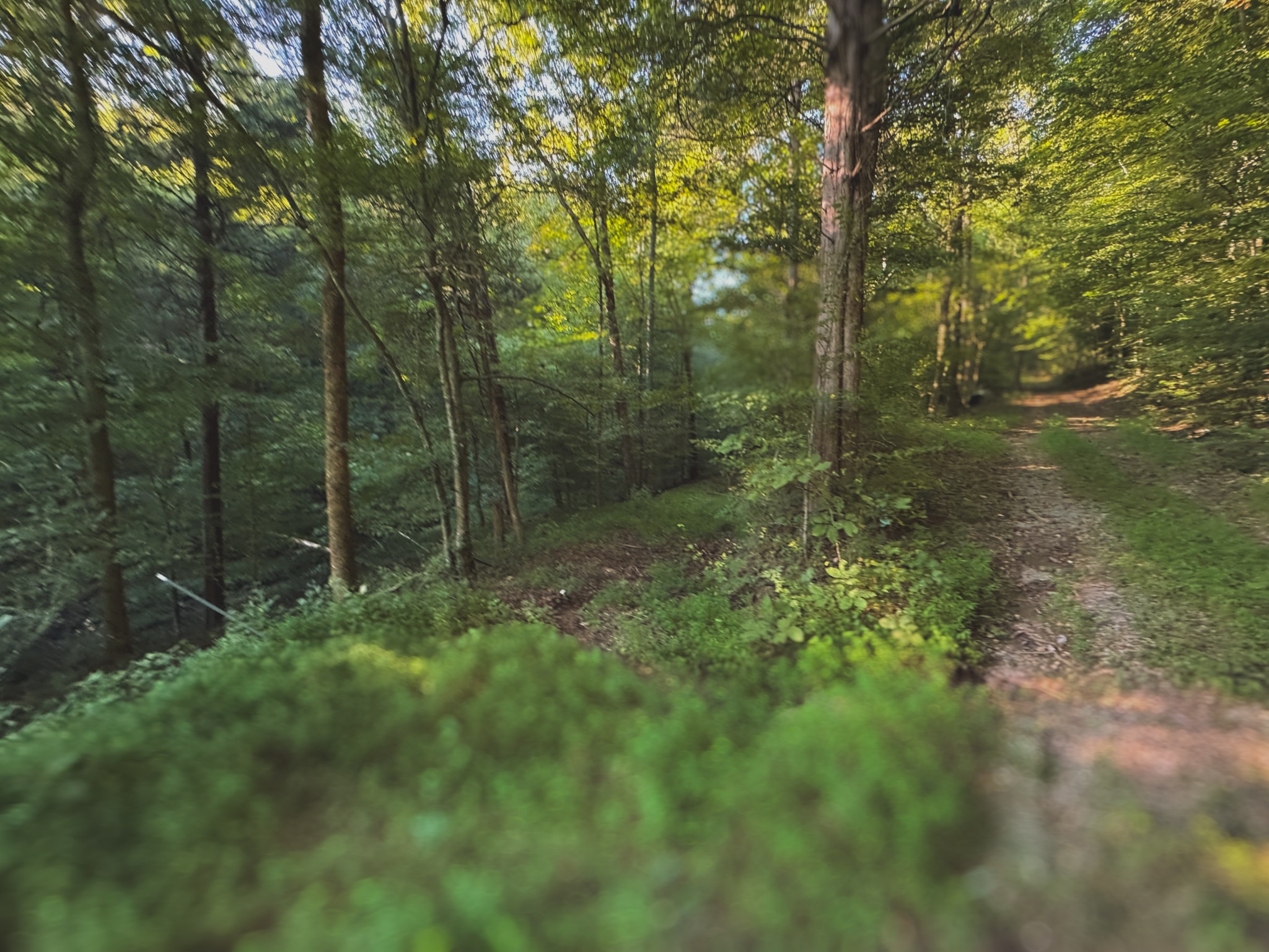 0 Lazy Branch Road Wartrace TN 37183