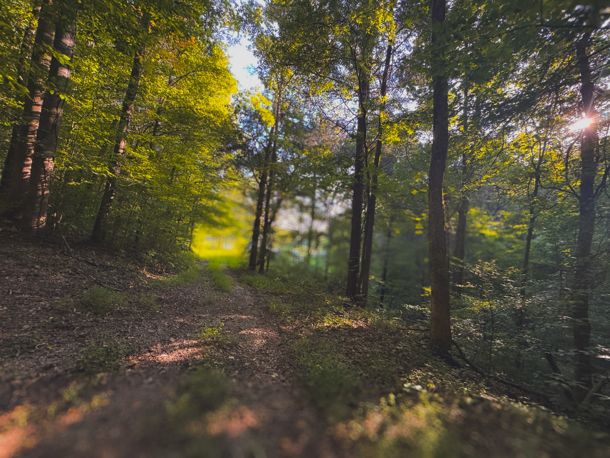 0 Lazy Branch Road Wartrace TN 37183
