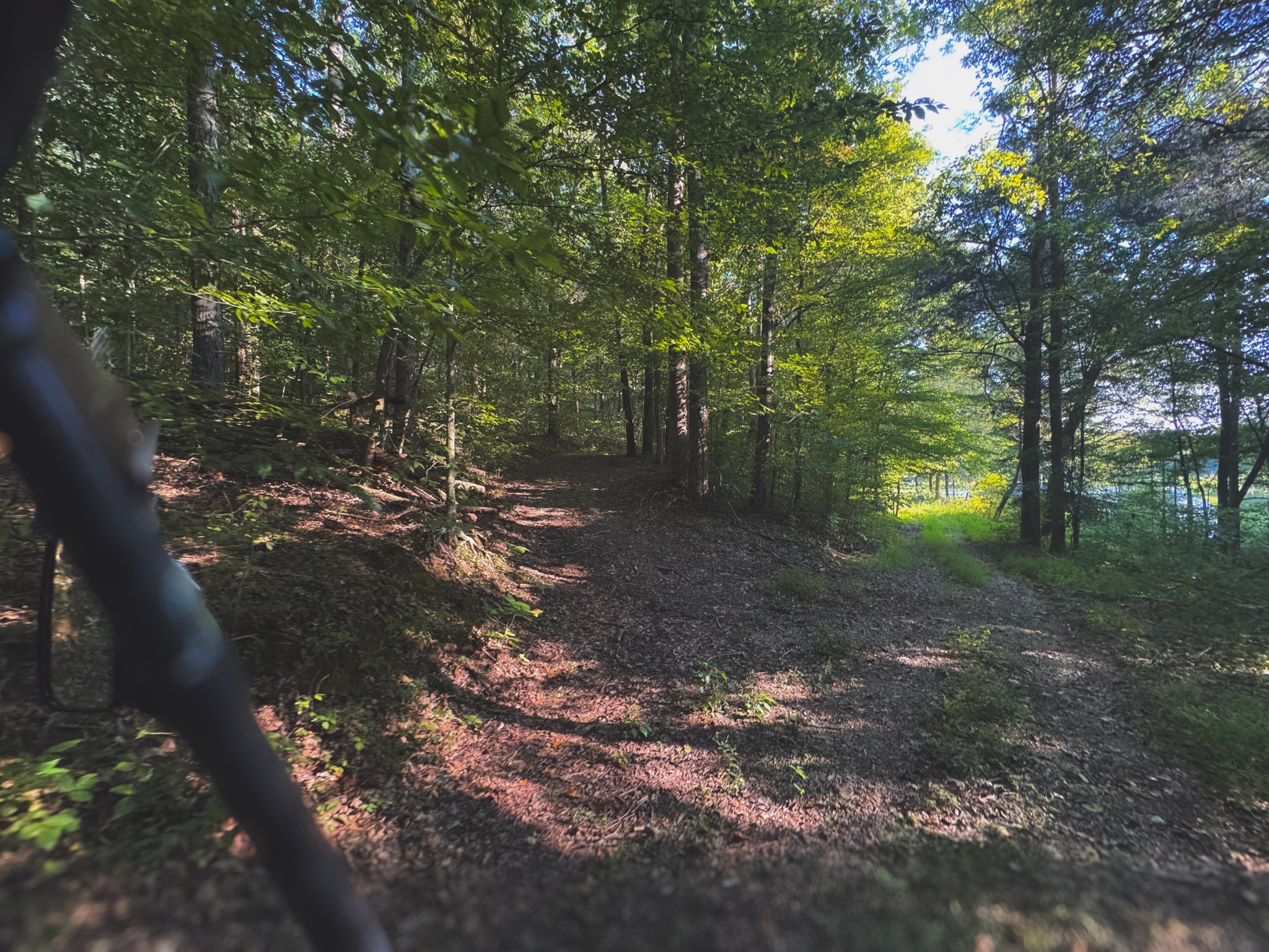 0 Lazy Branch Road Wartrace TN 37183