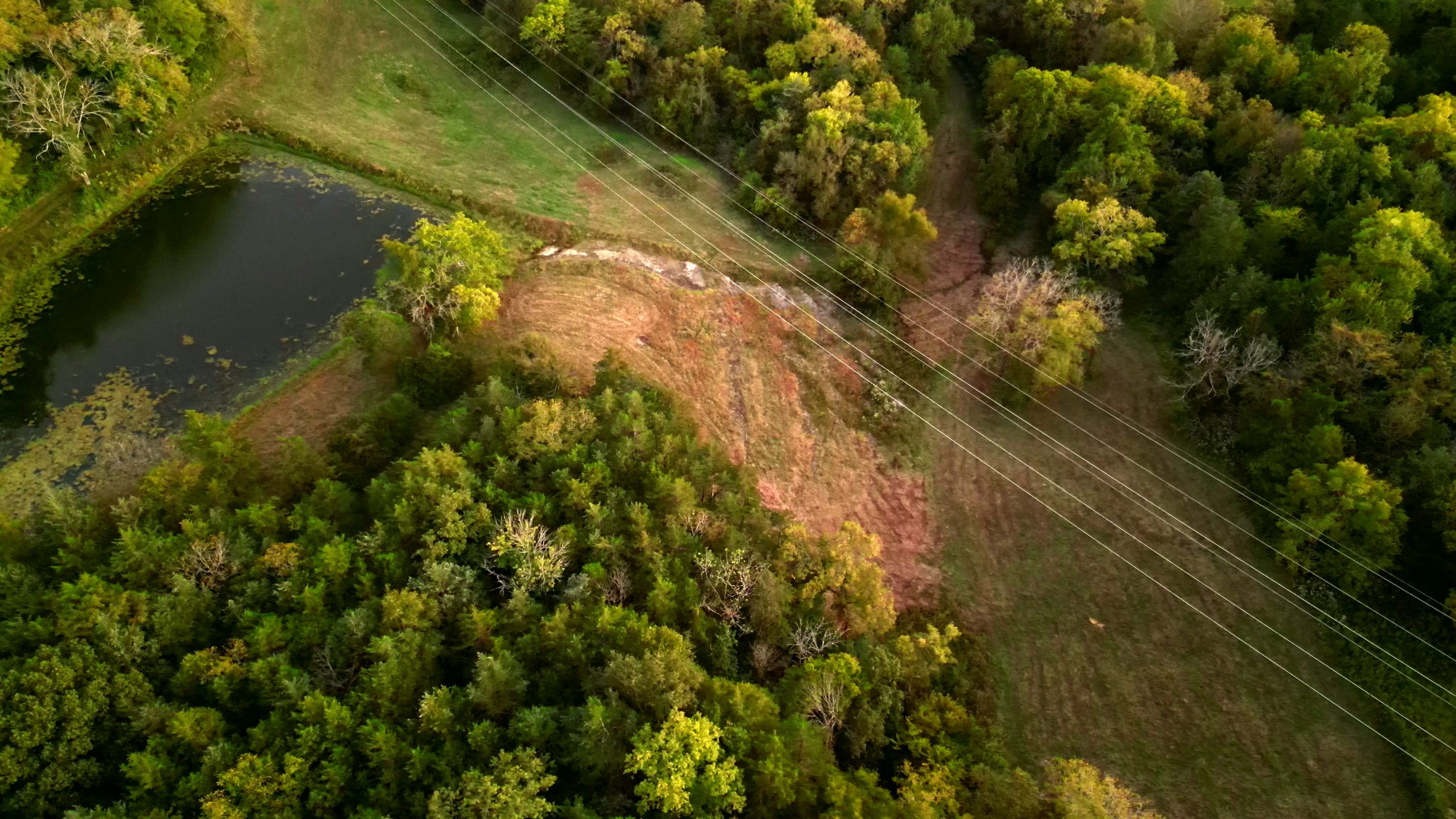 0 Lazy Branch Road Wartrace TN 37183