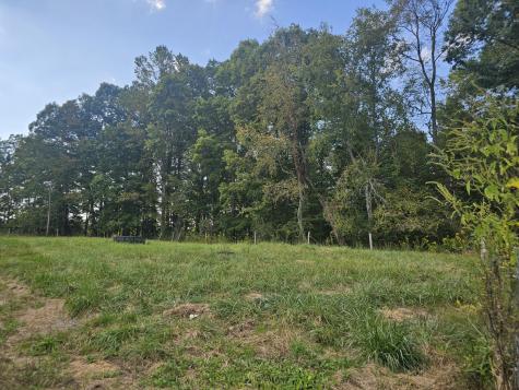 1077 Rock Avenue Palmer TN 37365