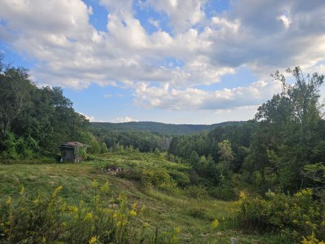 1077 Rock Avenue Palmer TN 37365