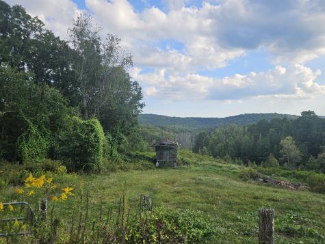 1077 Rock Avenue Palmer TN 37365