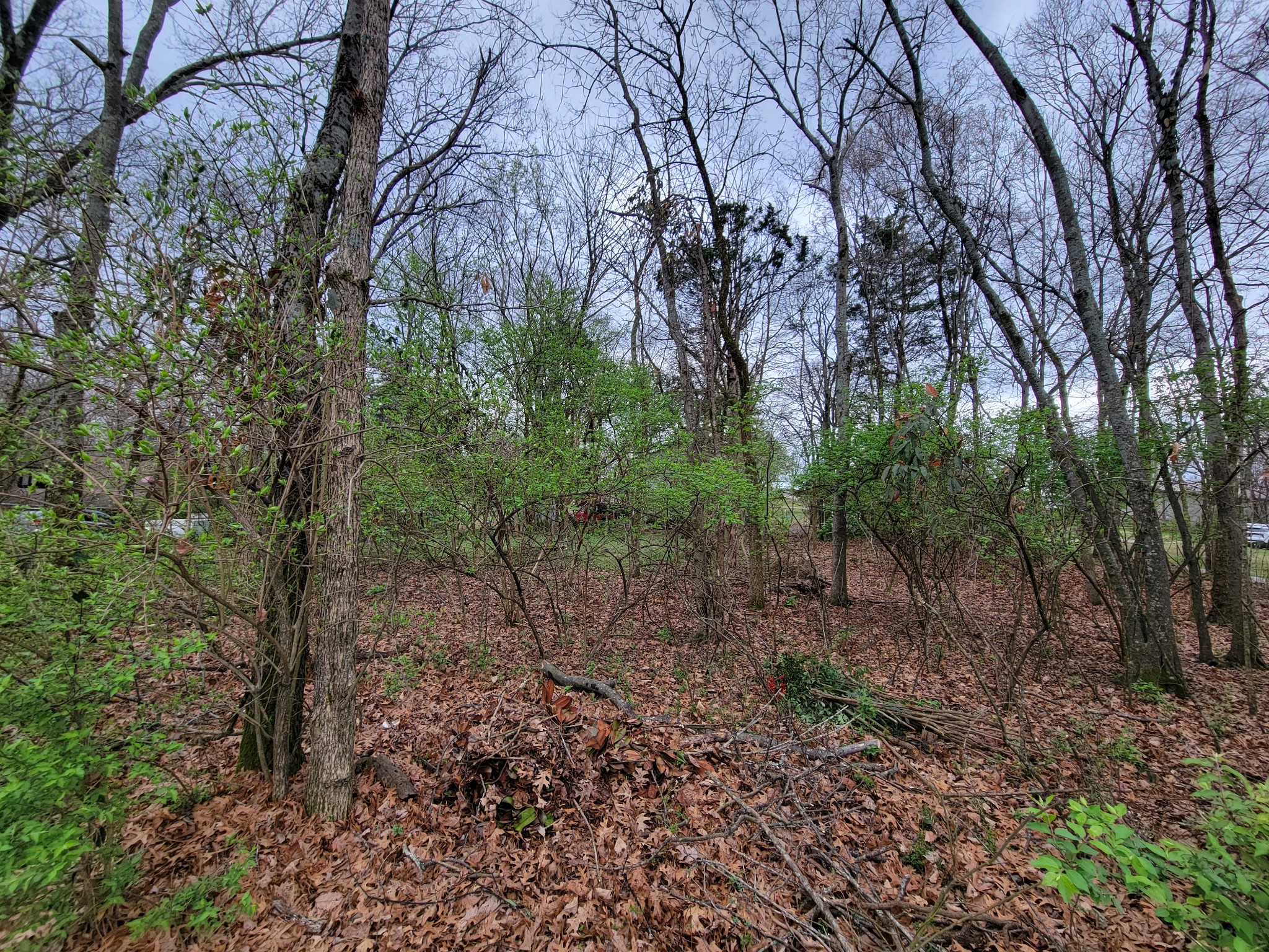 0 Long View Drive Mount Juliet TN 37122