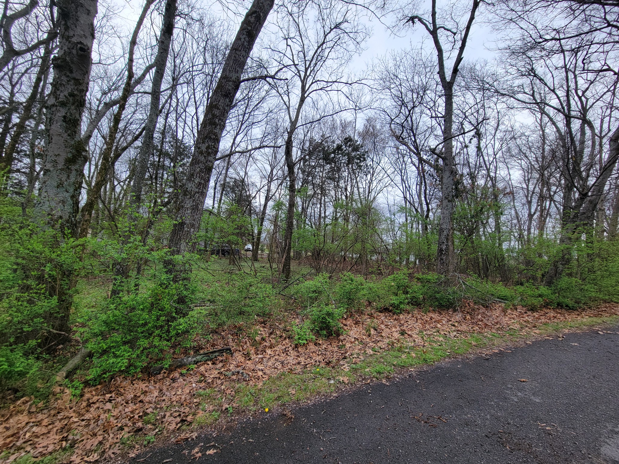 0 Long View Drive Mount Juliet TN 37122