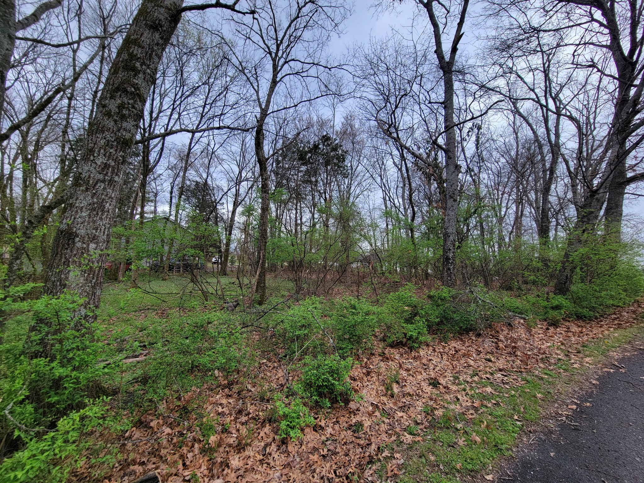 0 Long View Drive Mount Juliet TN 37122