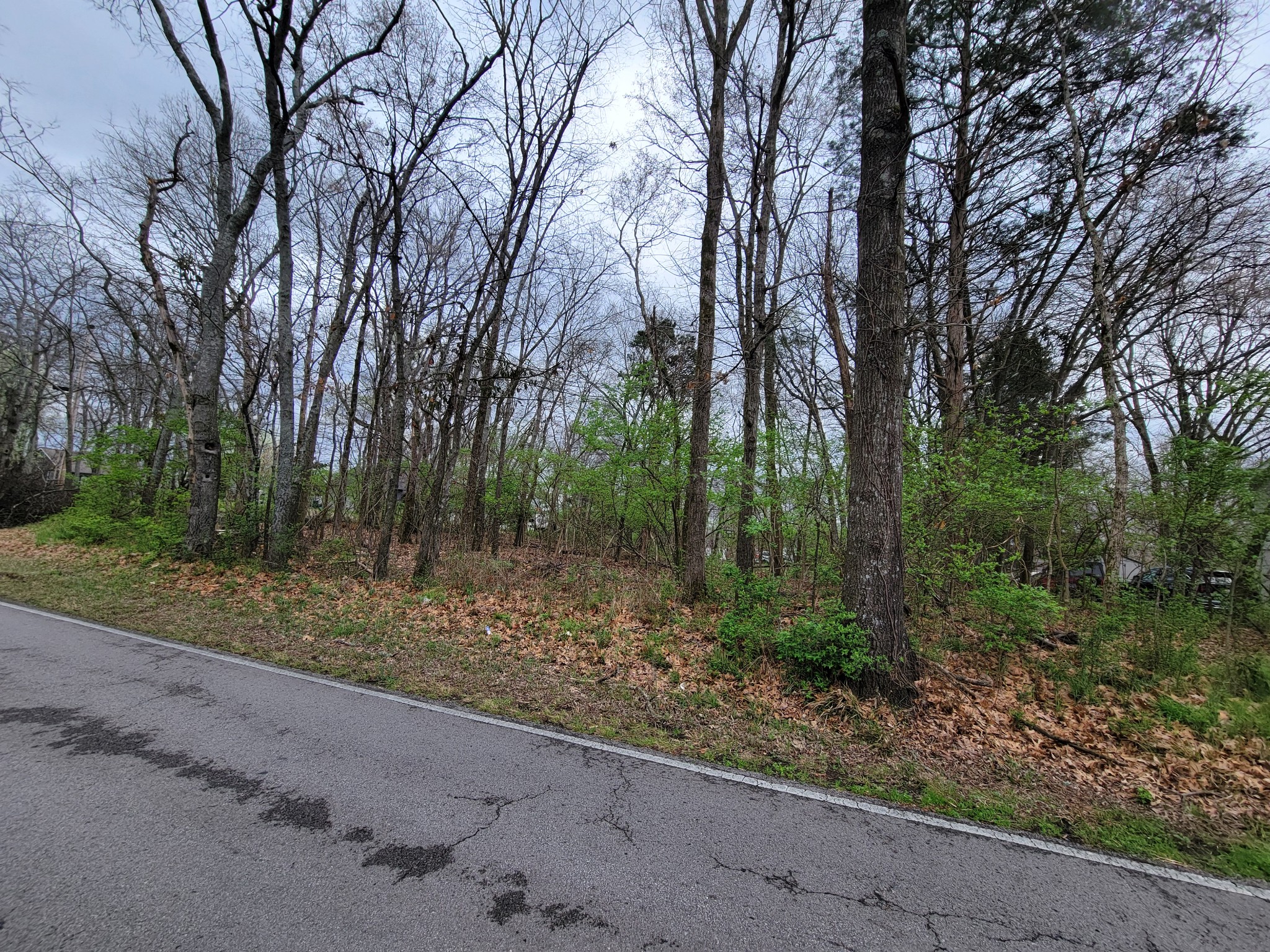 0 Long View Drive Mount Juliet TN 37122
