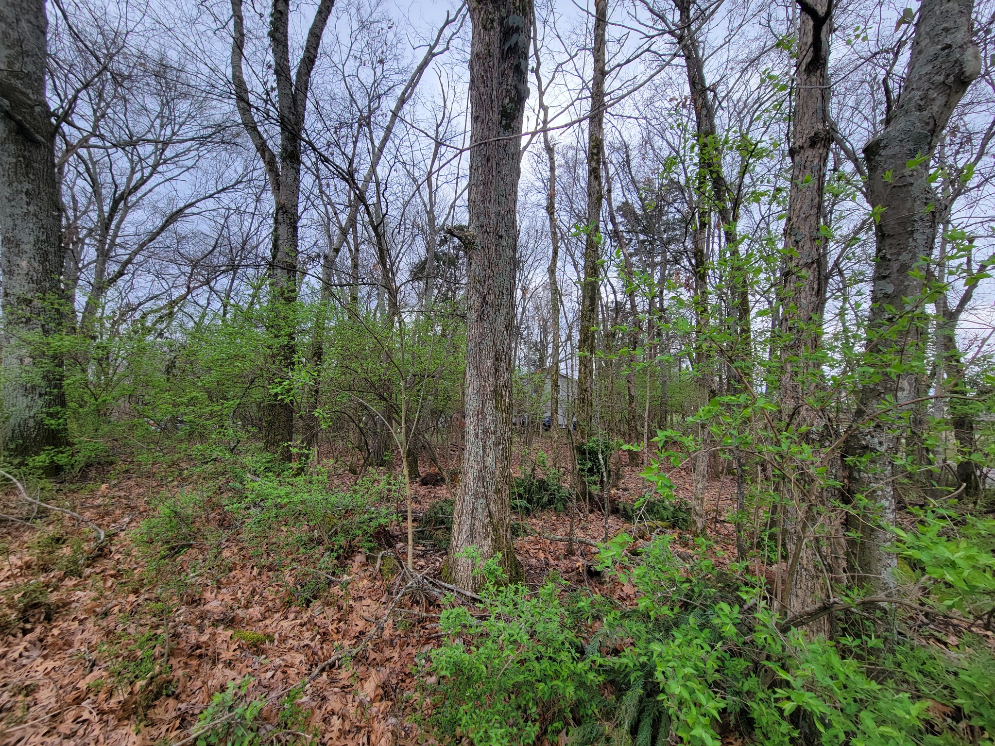 0 Long View Drive Mount Juliet TN 37122