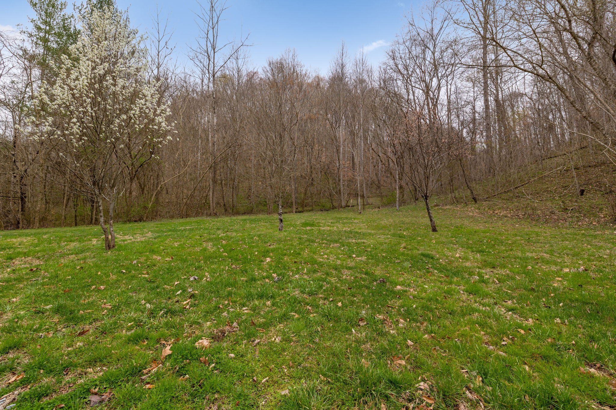 1069 Pleasant Shade Highway Pleasant Shade TN 37145