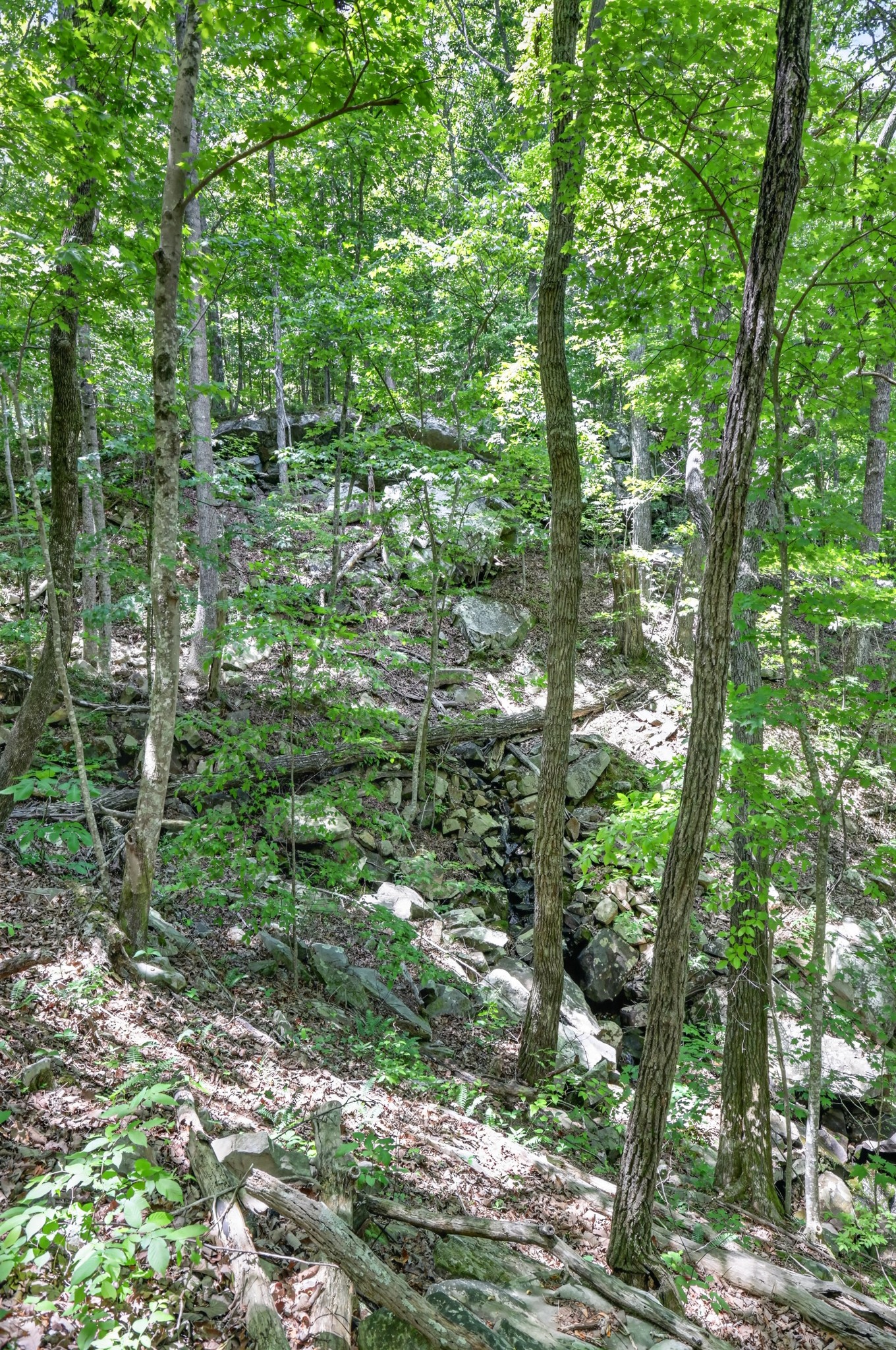 1215 Stage Coach Road Sewanee TN 37375