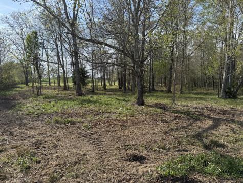 0 Bob Meadows Road Manchester TN 37355