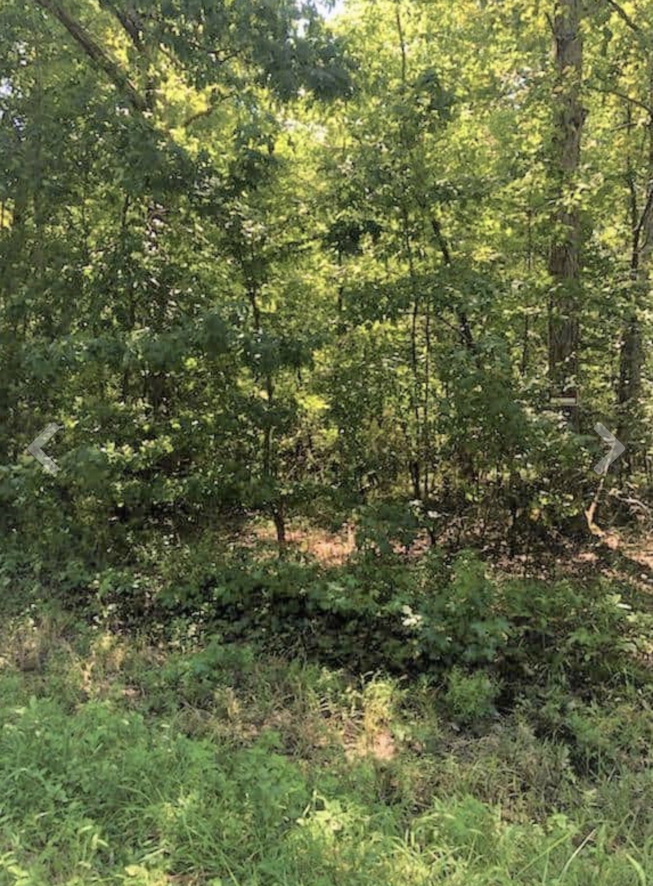 0 Sunset Drive Manchester TN 37355