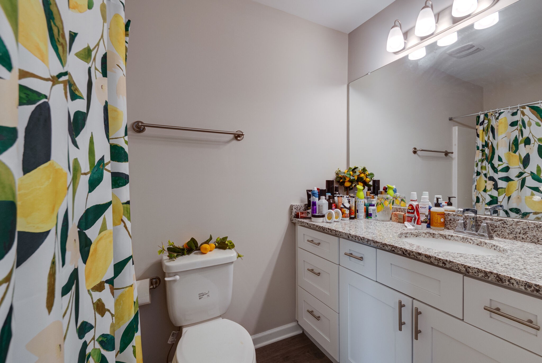 332 Kristen Court Columbia TN 38401