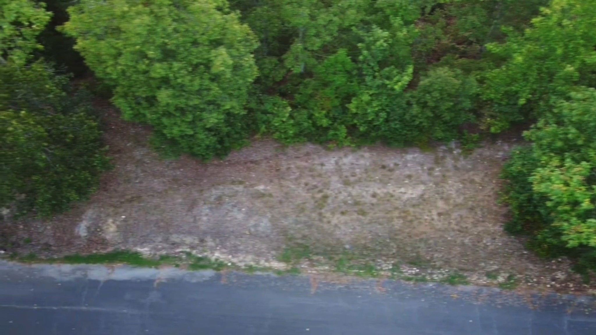 0 Sunset Ridge Waverly TN 37185