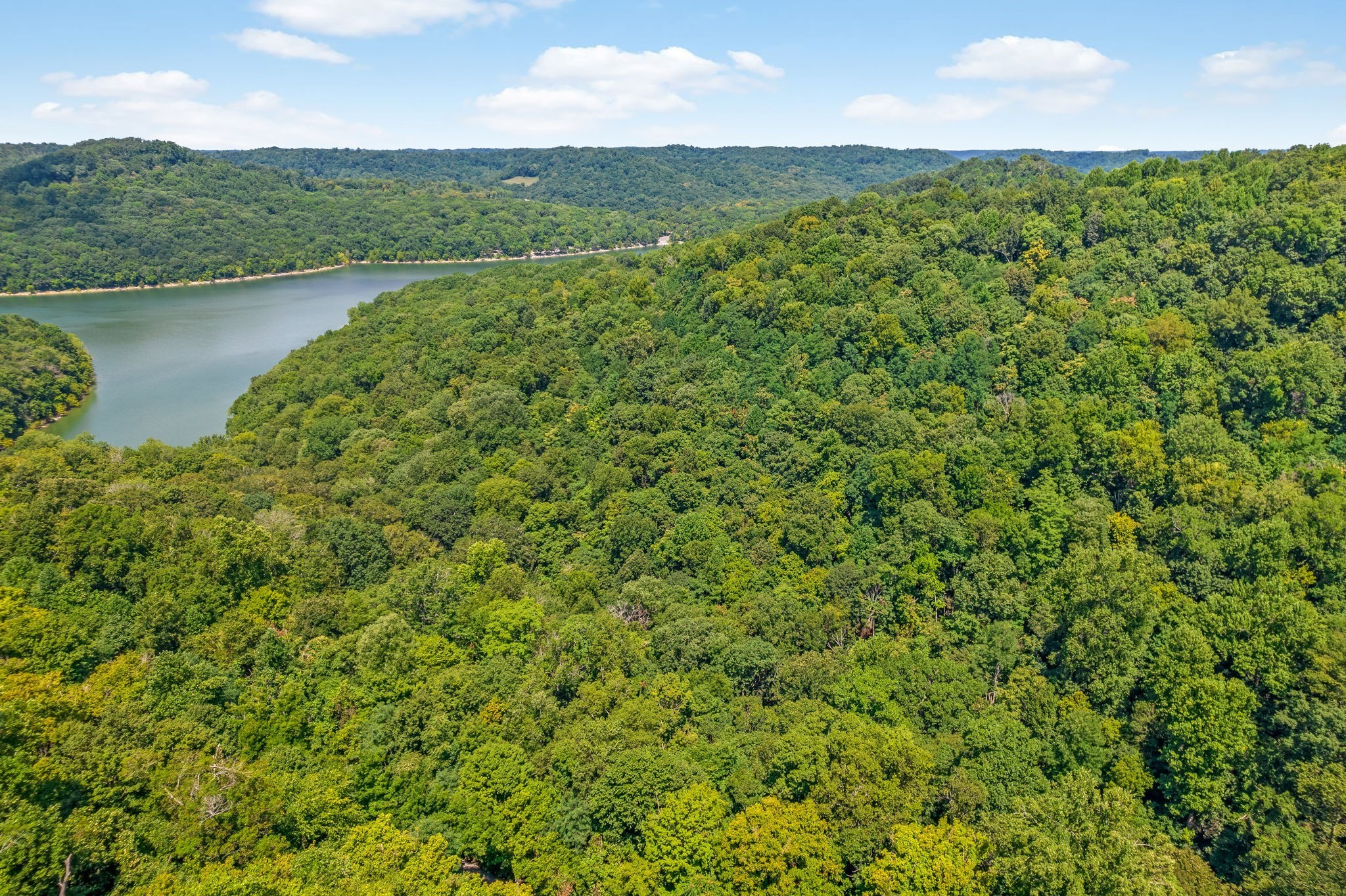 0 Shoreside Drive Smithville TN 37166