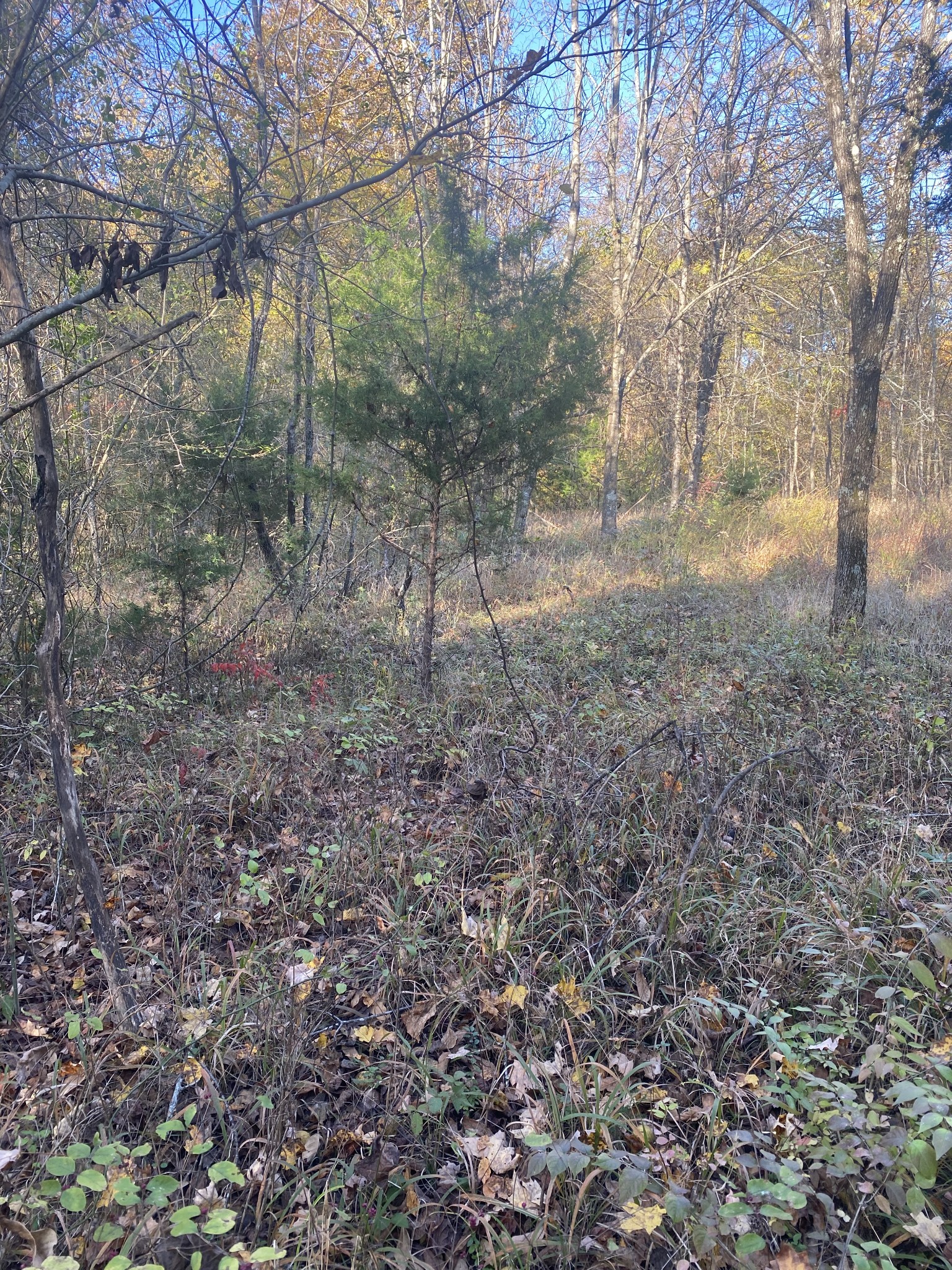 0 Simms Heights Road Kingston Springs TN 37082
