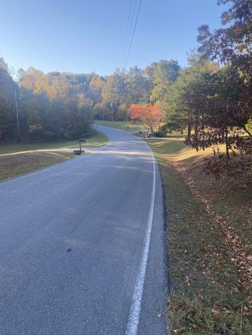 0 Simms Heights Road Kingston Springs TN 37082