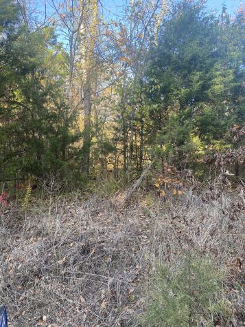 0 Simms Heights Road Kingston Springs TN 37082