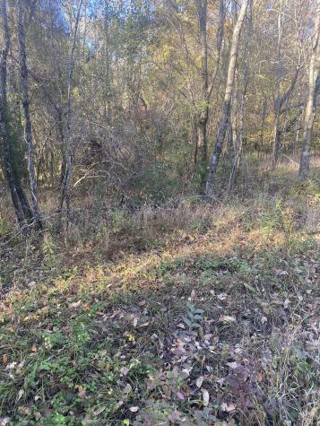 0 Simms Heights Road Kingston Springs TN 37082