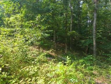 1346 Elliot Road Nunnelly TN 37137