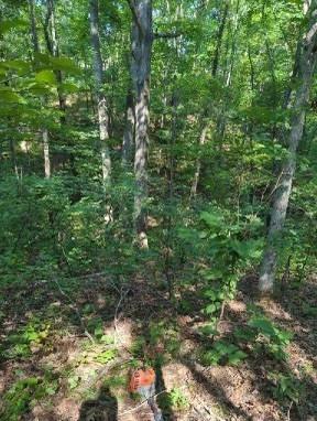 1346 Elliot Road Nunnelly TN 37137