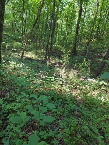 1346 Elliot Road Nunnelly TN 37137
