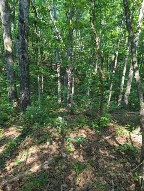 1346 Elliot Road Nunnelly TN 37137