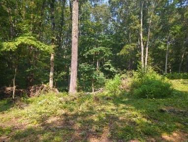 1346 Elliot Road Nunnelly TN 37137