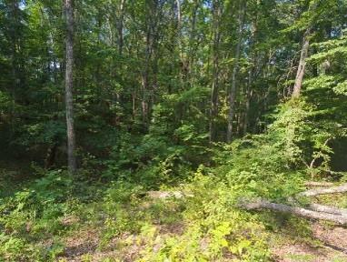 1346 Elliot Road Nunnelly TN 37137